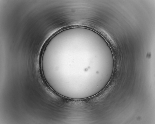 X0000102360884200808151810