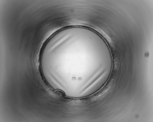 X0000102360885200808151810