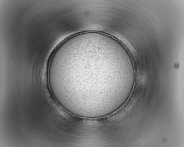 X0000102360886200808151810