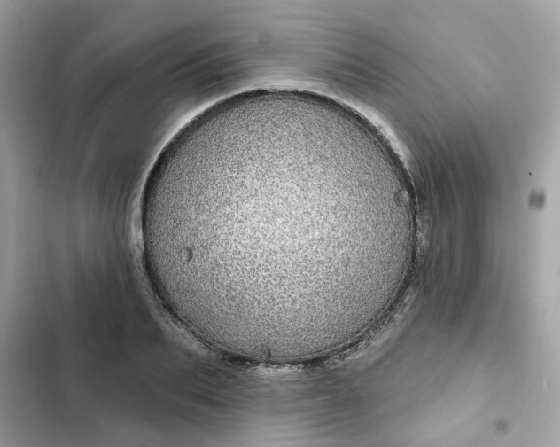 X0000102360887200808151810