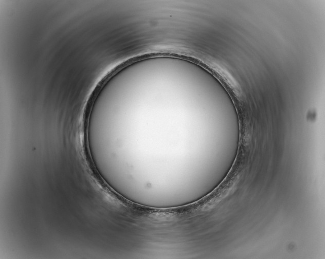 X0000102360888200808151810