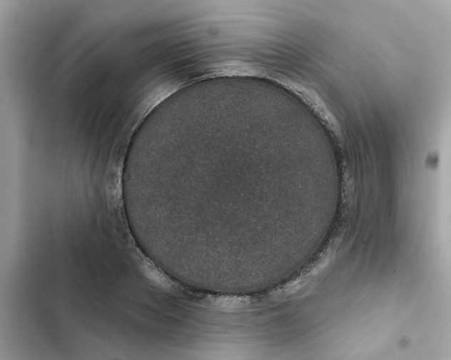 X0000102360889200808151810