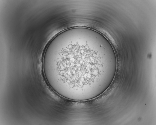 X0000102360890200808151810