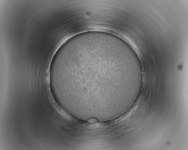 X0000102360891200808151810