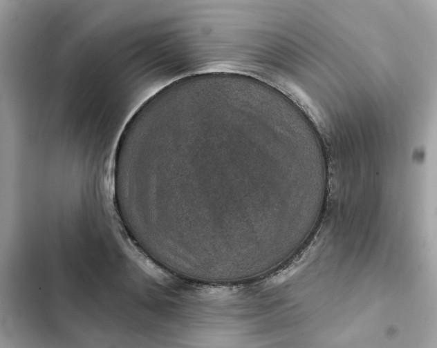 X0000102360892200808151810