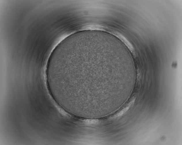 X0000102360893200808151810