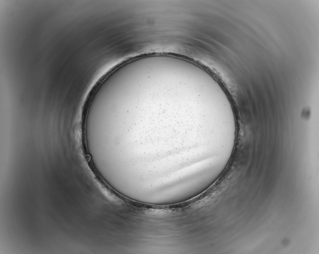 X0000102360894200808151810