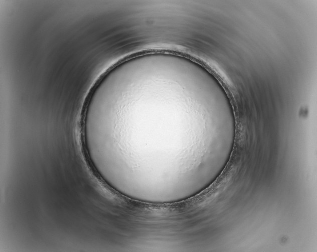 X0000102360895200808151810