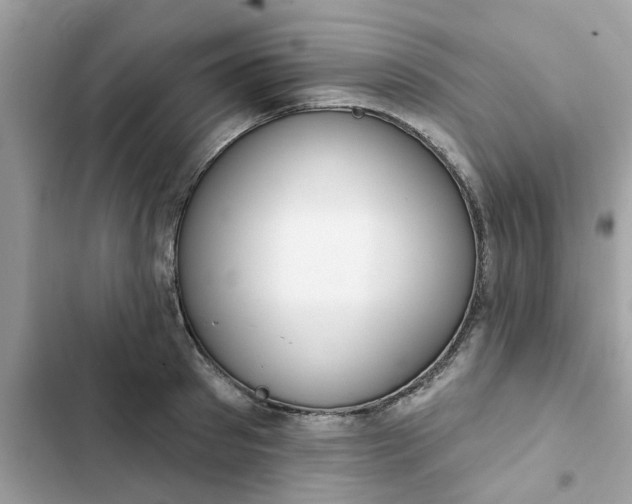 X0000102360897200808151810