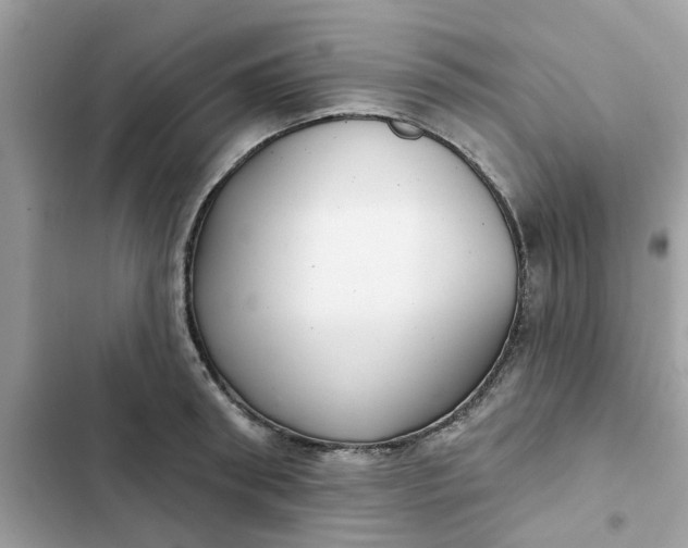 X0000102360898200808151810