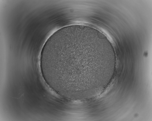 X0000102360899200808151810