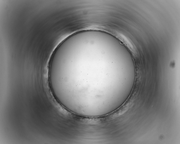 X0000102360900200808151810