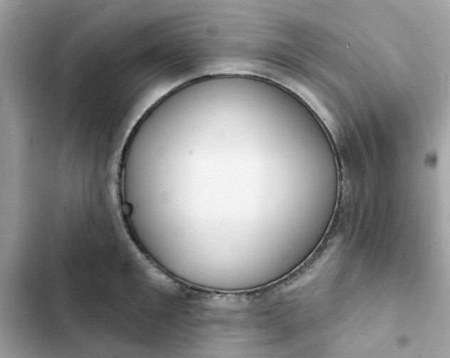 X0000102360901200808151810