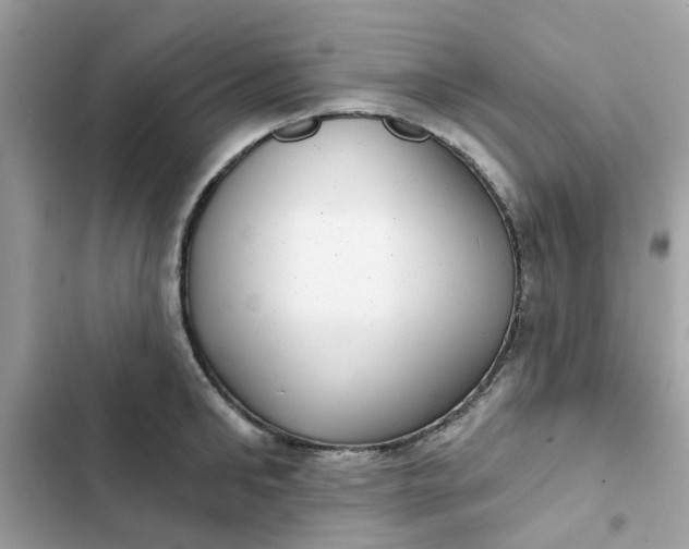 X0000102360902200808151810