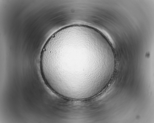 X0000102360903200808151810