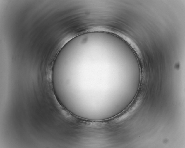 X0000102360905200808151810