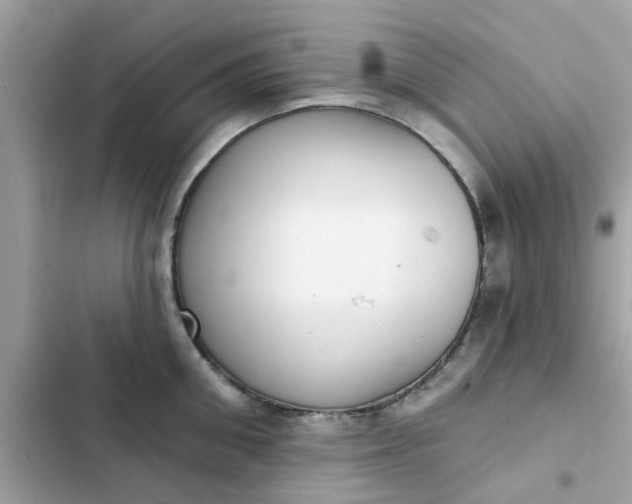 X0000102360906200808151810