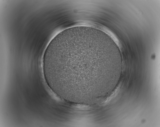 X0000102360907200808151810