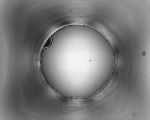 X0000102360908200808151810