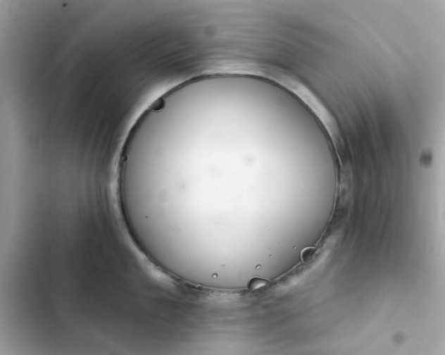 X0000102360909200808151810