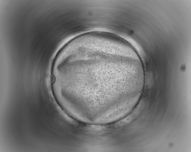 X0000102360910200808151810