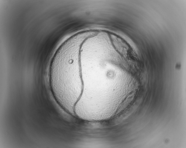 X0000102360911200808151810