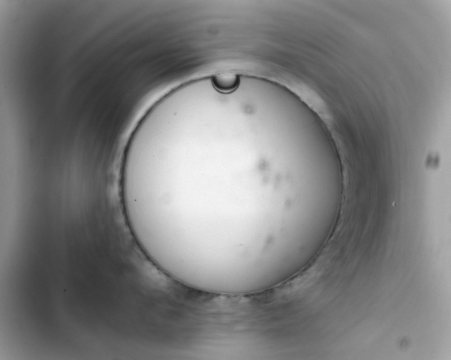 X0000102360912200808151810