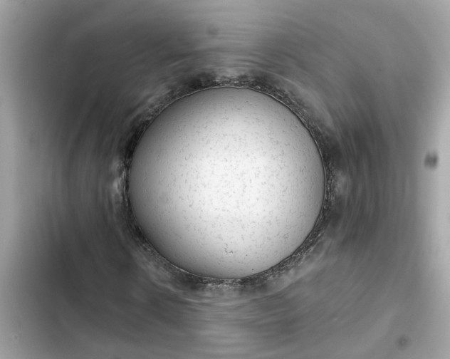 X0000102360914200808151809