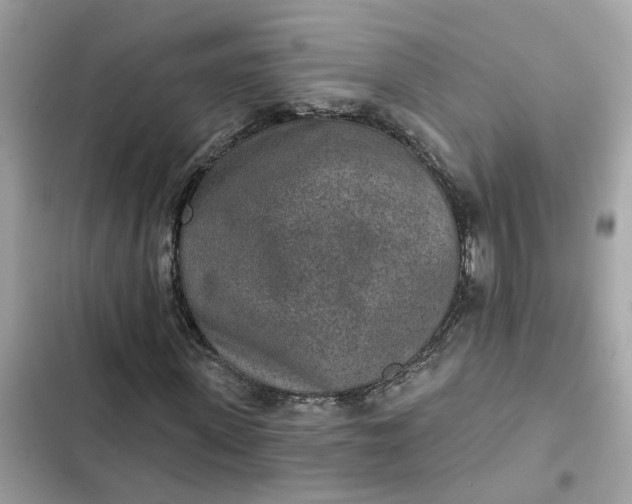 X0000102360915200808151809