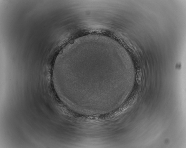 X0000102360916200808151809