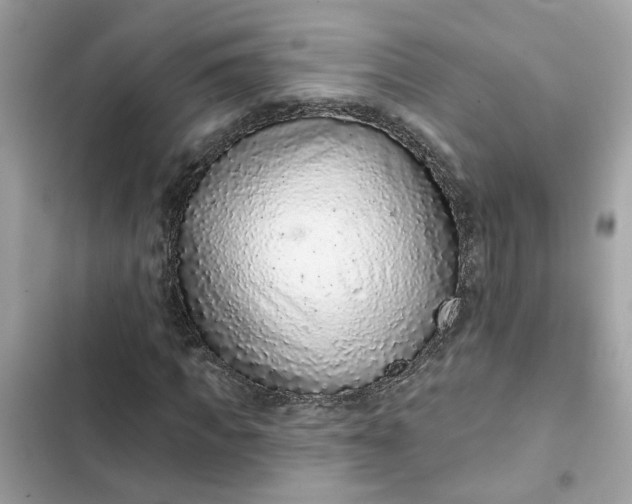 X0000102360917200808151809