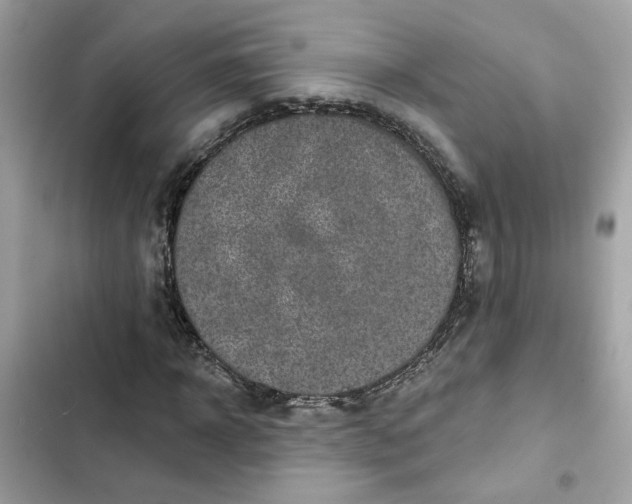 X0000102360918200808151809