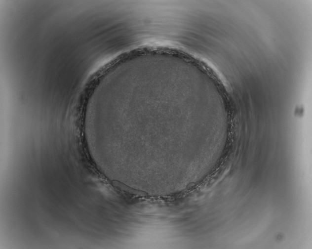 X0000102360919200808151809