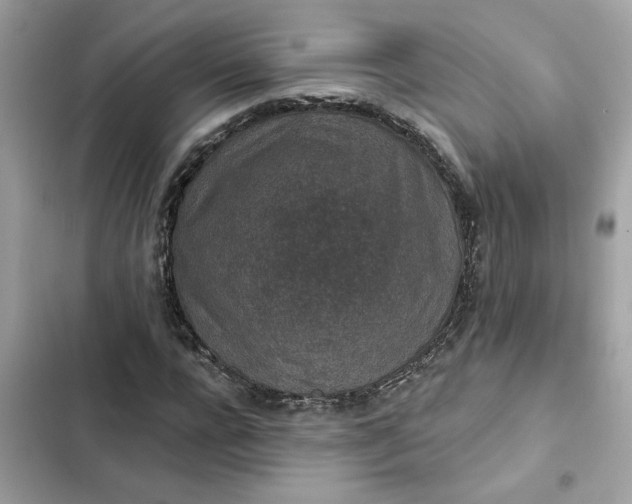 X0000102360920200808151809