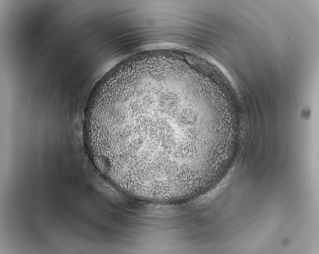 X0000102360921200808151809