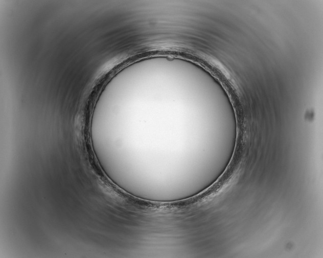 X0000102360922200808151809