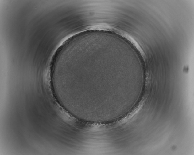 X0000102360923200808151809