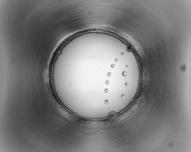 X0000102360924200808151809