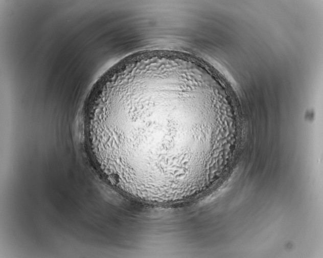 X0000102360925200808151809