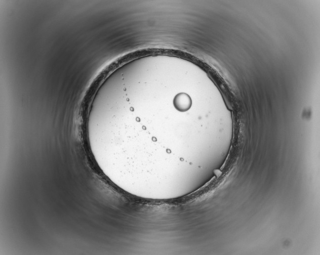 X0000102360926200808151809