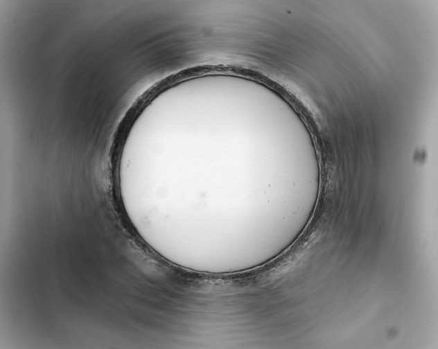 X0000102360927200808151809