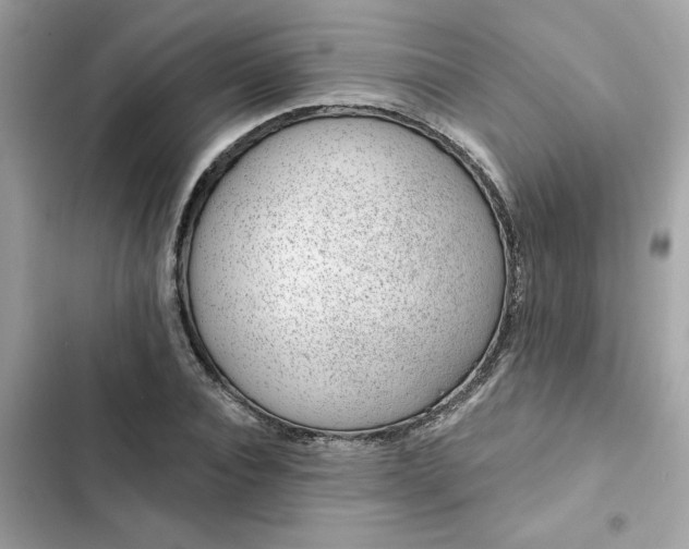 X0000102360928200808151809