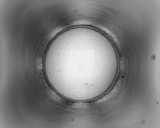 X0000102360929200808151809