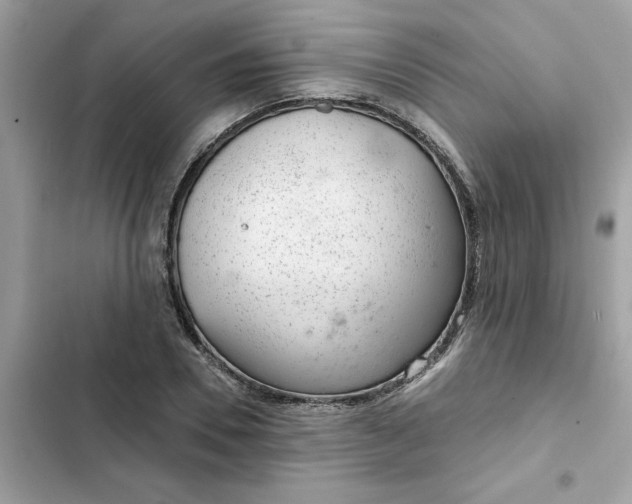 X0000102360930200808151809