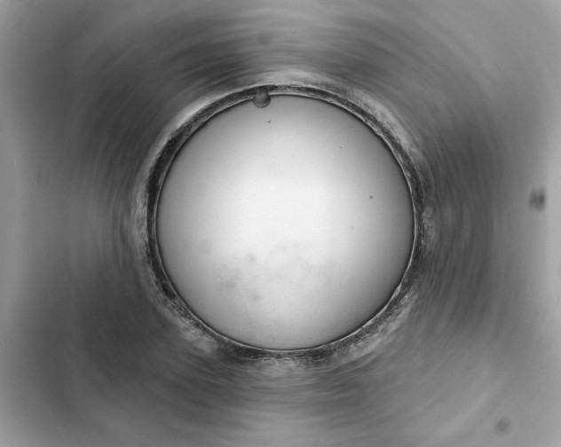 X0000102360931200808151809