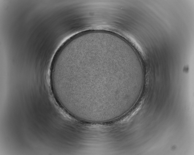 X0000102360932200808151809