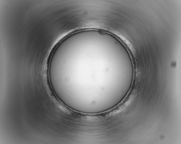 X0000102360933200808151810