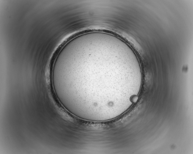 X0000102360934200808151810