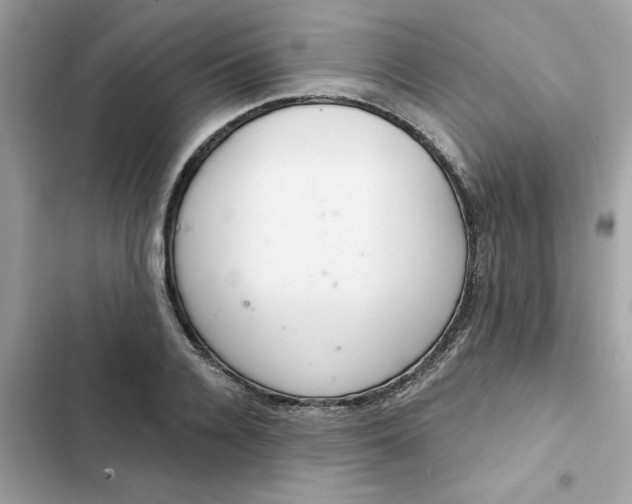 X0000102360936200808151810