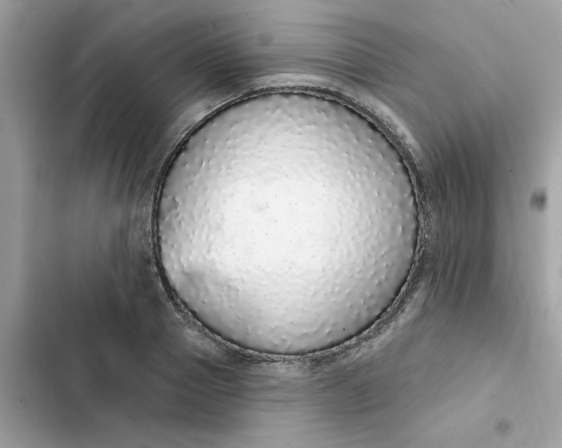 X0000102360937200808151810